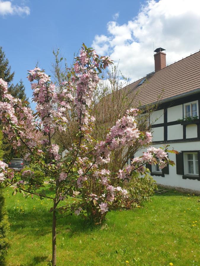 Lusatia Farm Лесна Екстериор снимка